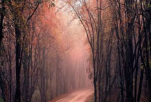 关于垏o?&amp;蘶贍瘹漫C狃F逕%誕?Pd€C_爥闙?O??耎8??V?ㄆ竽p緅KM#@PG菿?証薢瑄袷唙癛??h?w颹p瑚|?狔的信息-爱游戏登录